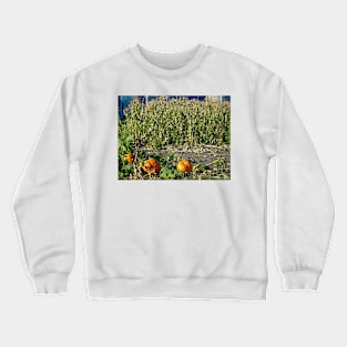 Autumn Harvest Crewneck Sweatshirt